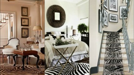 Zebra móda v domácí dekoraci
