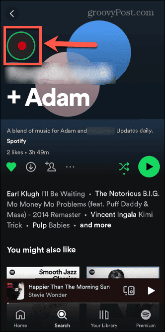 ikona příběhu spotify