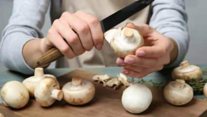 Jak loupat houby? Jak zabránit tmavnutí hub, jaké jsou tipy