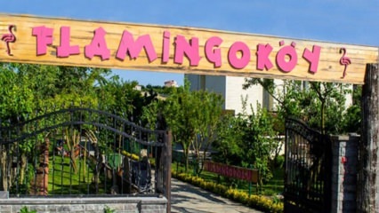 Kde je Flamingo Village? Jak jít? Kolik stojí snídaně?