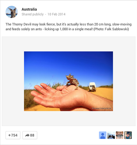 cestovní ruch austrálie obrázek