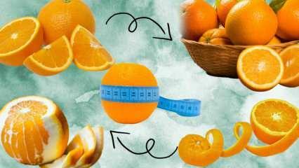 Kolik kalorií obsahuje pomeranč? Kolik gramů je 1 střední pomeranč? Přibíráte po pomeranči?
