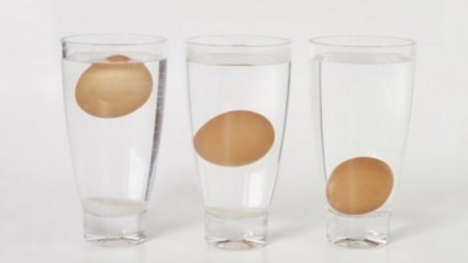 Jak rozumět zastaralým vejcím?