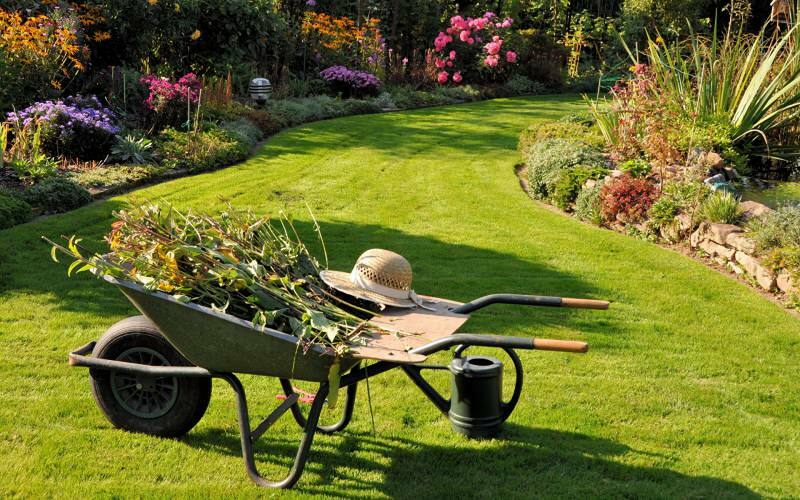 Jak probíhá čištění zahrady? Návrhy na úklid a objednávku zahrady!