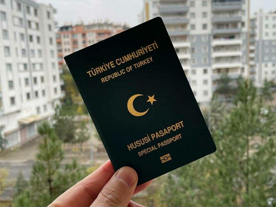 Jaké jsou typy pasů? Který pas je lepší? Význam barev pasů