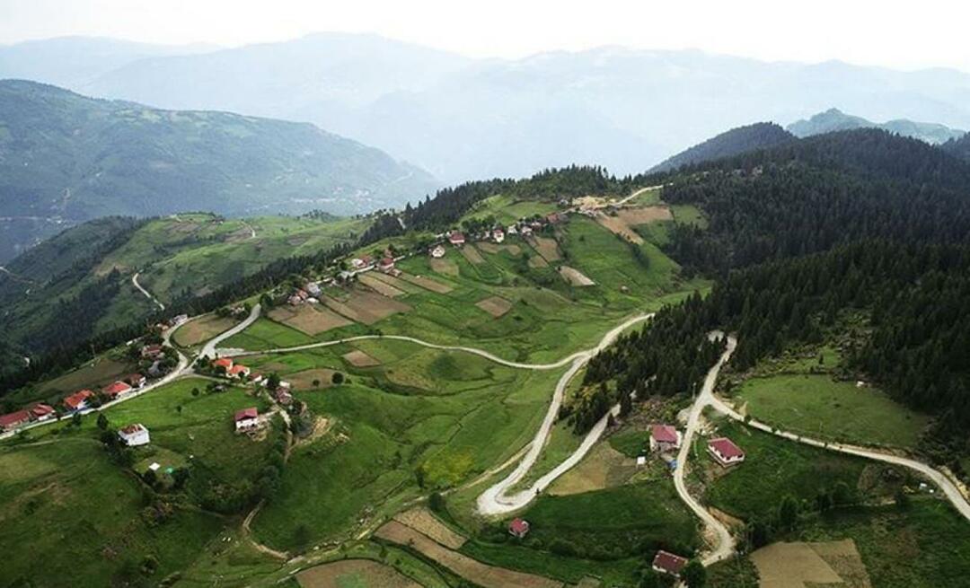 Kde je náhorní plošina Çambaşı? Jak se dostat na plošinu Çambaşı?