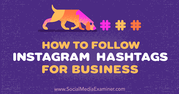 Jak sledovat hashtagy Instagramu pro firmy: zkoušející sociálních médií