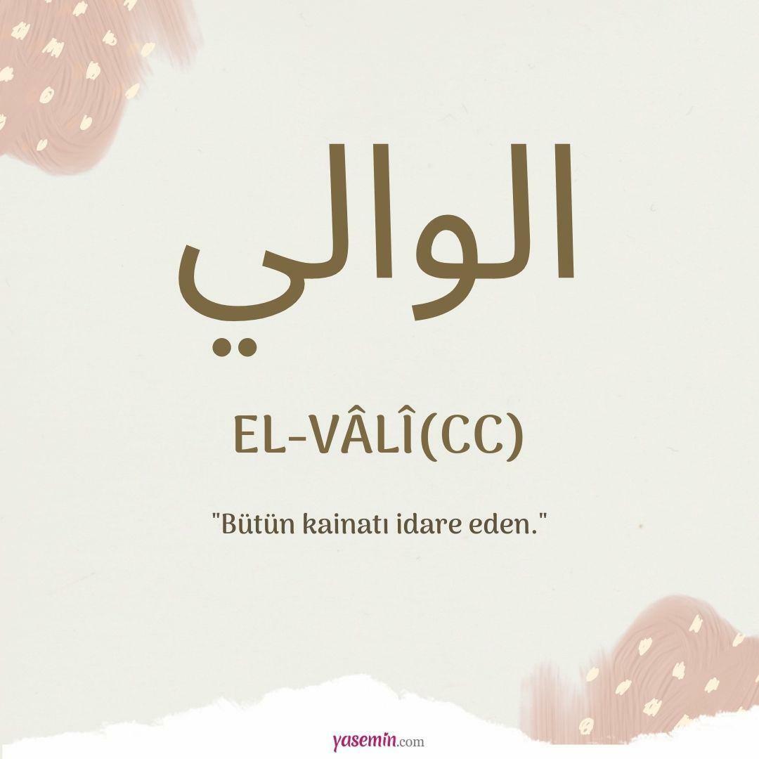 Co znamená al-Vali (c.c)?