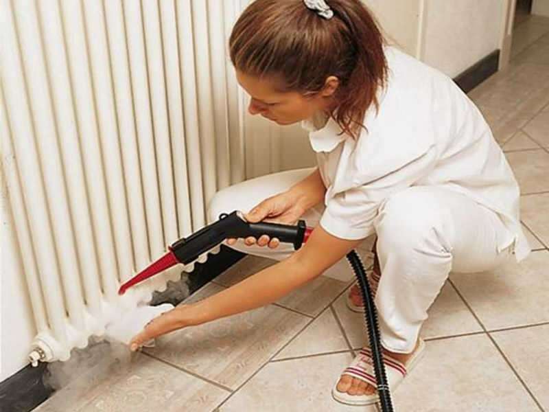 Jak doma čistit plástev? Jak nejjednodušší čištění ohřívače