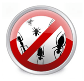 Nainstalujte antivirový program, abyste rozdrtili chyby a nasycený virový kód!