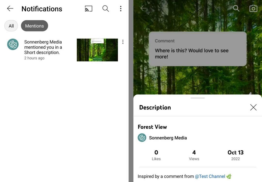 jak-použít-youtube-shorts-commenting-feature-to-tag-and-mention-commenters-tag-username-get-notification-in-mentions-sonnenbergmedia-example-17