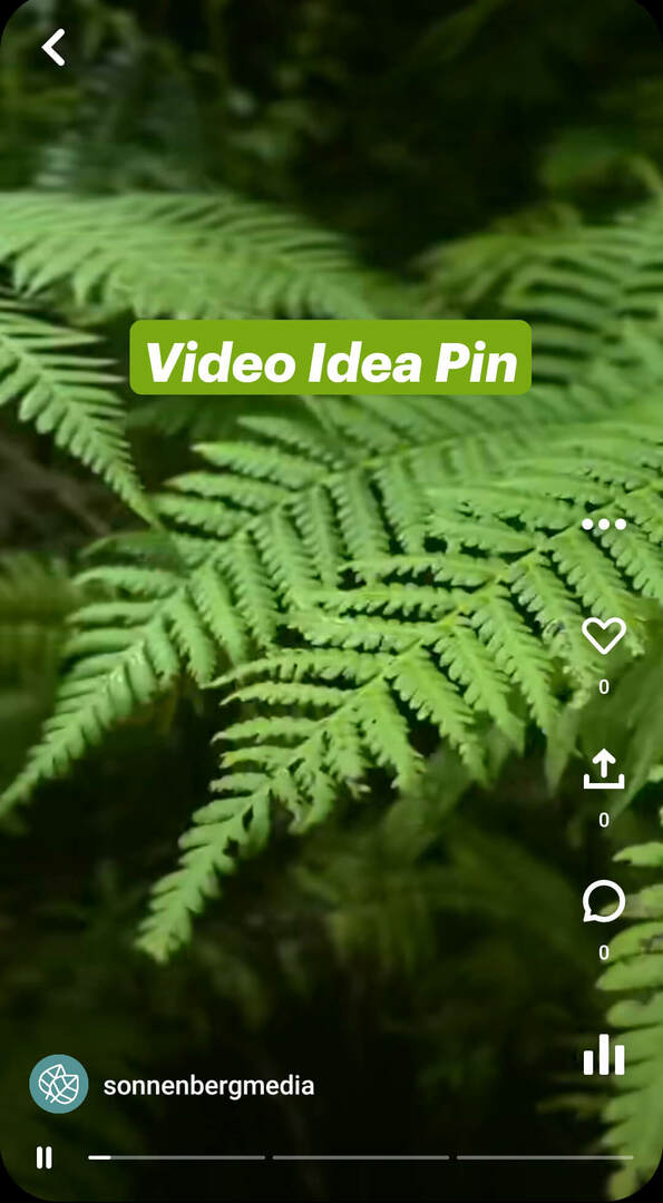 co-jsou-pinterest-idea-piny-sonnenbergmedia-video-pin-example-1