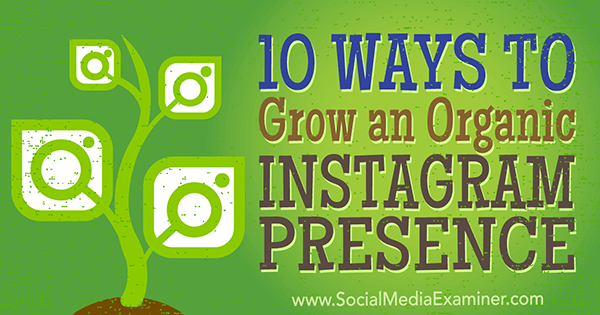 organické marketingové tipy ke zvýšení počtu sledujících na instagramu