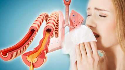 Co způsobuje sputum? Jaké nemoci jsou sputem předzvěstí nemocí? Přirozené způsoby, jak vyhnat sputum ...