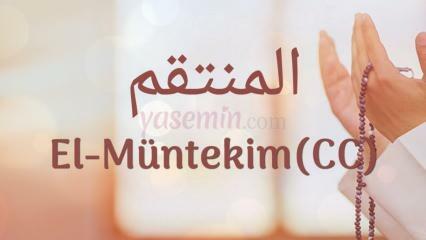 Co znamená Al-Muntakim (c.c)? Jaké jsou přednosti Al-Muntakima (c.c.)?