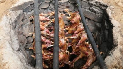 Jak vařit husí maso? Ústa zalévání husí tandoor recept