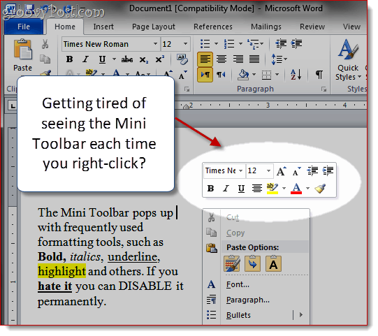 Odebrat Mini-Toolbar v aplikaci Word 2007 a Word 2010