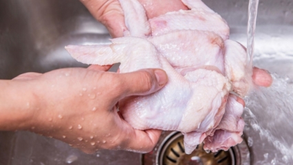 Jak se má kuře čistit? 