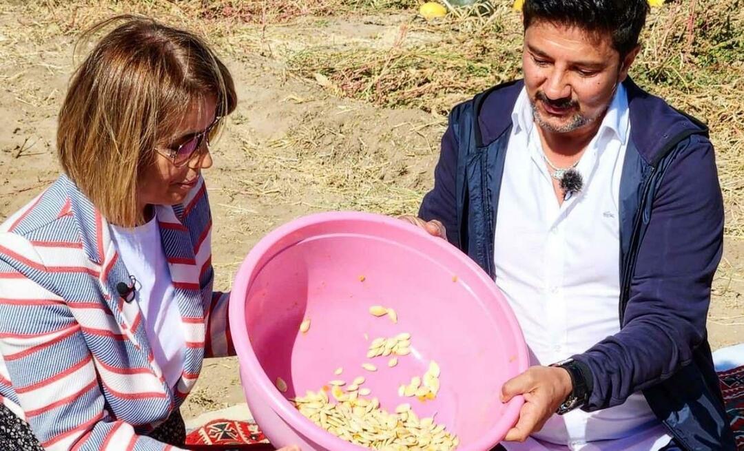 V Nevşehiru byla sklizena dýňová semínka na svačiny!