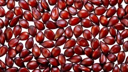 Jaké jsou výhody kdoule semena na kůži? Příprava a přínos masky kdoule 