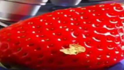 Strawberry video, které označilo sociální média! Jahodu už nevložíte do úst ...