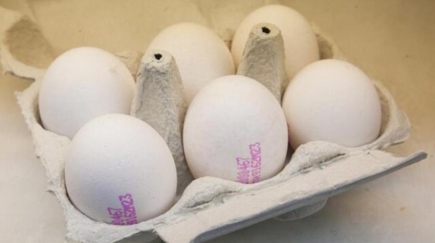 Jak se rozumí ekologické vejce? Co znamenají kódy vejce?
