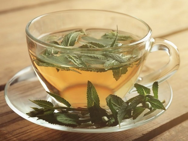 Z bylinných čajů je Salvia nejúčinnější pro zubní zdraví.