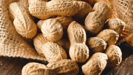 Jaké jsou výhody arašídů? Jaká onemocnění jsou arašídy dobré?
