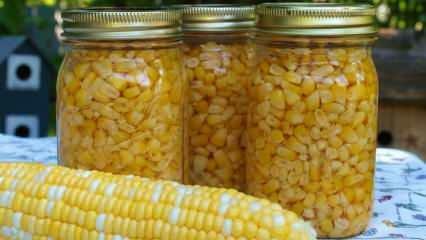 Jak se kukuřice skladuje? Nejjednodušší způsoby skladování kukuřice! Příprava ozimé kukuřice