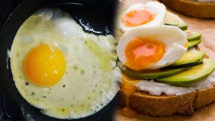 Které oleje jsou prospěšné pro naše zdraví? Pokud konzumujete nerozpuštěné vejce ...