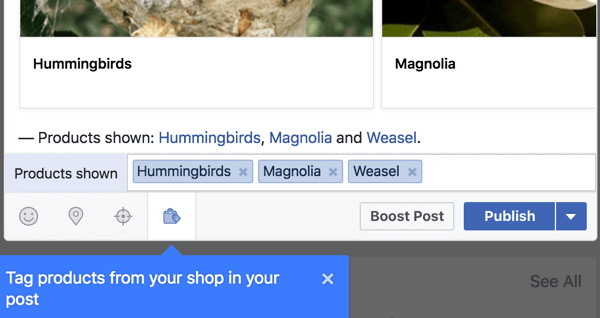 Zahrňte odkazy na produkty z vašeho obchodu na Facebooku.