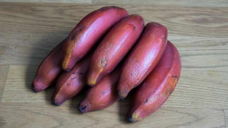 červené banány dozrávají fialově