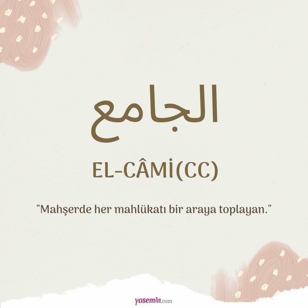 Co znamená Al-Cami (c.c)?