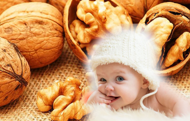 vlašské ořechy prospějí dětem