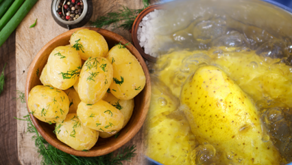 Jak se vaří brambory? Špičky vařených brambor