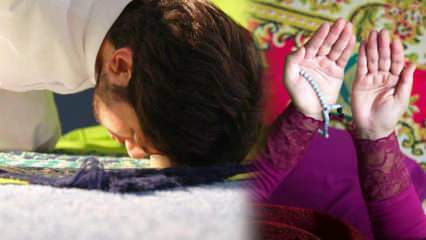 Ctnost modlitby tarawih a provádění modlitby tarawih doma! Rozhodnutí pro modlitbu tarawih z Diyanet