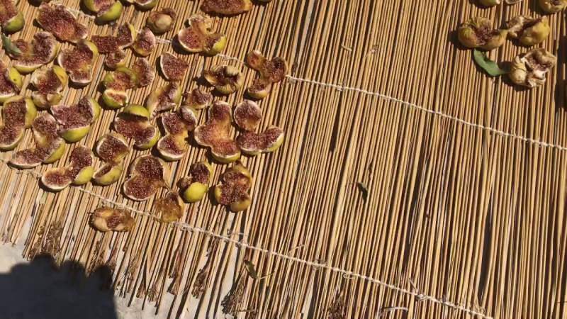 Jak se suší fíky? Metoda sušení fig doma! Podmínky skladování obr. ...