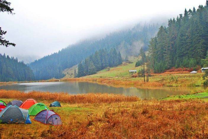 Yenice forest camping area