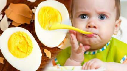 Jak by se žloutky měly dostat kojencům? Kolik měsíců začít vejce? Baby vejce recept