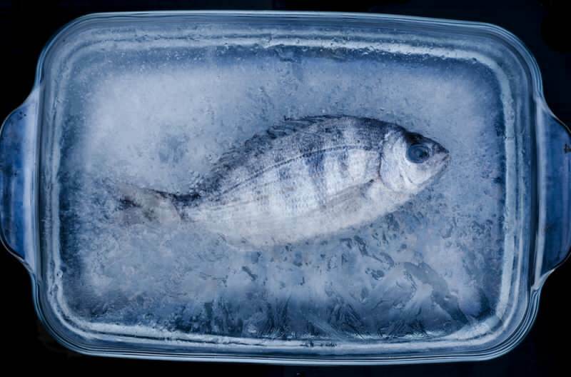 Kolik dní by měly být ryby v mrazáku spotřebovány?