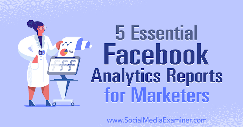 5 základních zpráv Facebook Analytics pro obchodníky od Mariie Bochevy v průzkumu sociálních médií.