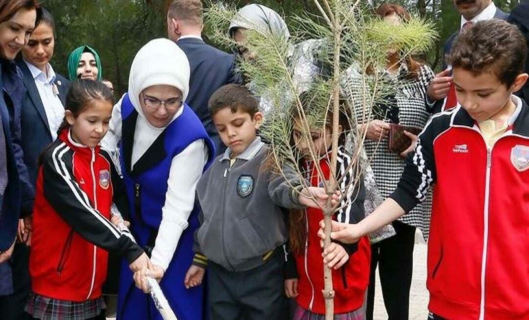 Příspěvek ke dni národního zalesňování od první dámy Erdoğanové