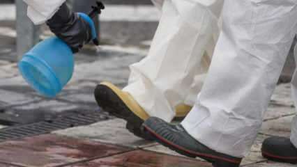 Jak provést plnohodnotné čištění obuvi? Jak je dezinfikována spodní část boty?