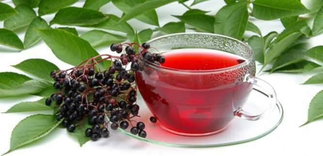 čaj bezinky poskytuje pro imunitní systém neuvěřitelné výhody