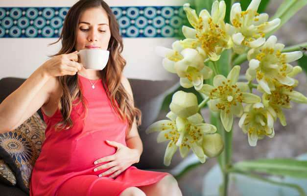 Bylinné čaje návrh během těhotenství od Saraçoğl! Je pro těhotné ženy škodlivé pít bylinkový čaj?