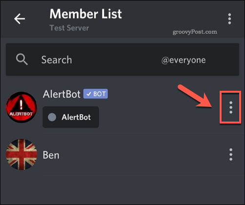 Přístup k seznamu možností pro člena serveru Discord