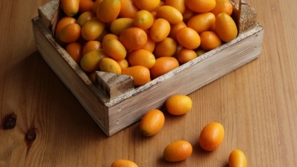 Jaké jsou výhody Kumquatu (Kumkat)? Pro které nemoci je kumquat dobrý? Jak se kumquat spotřebovává?