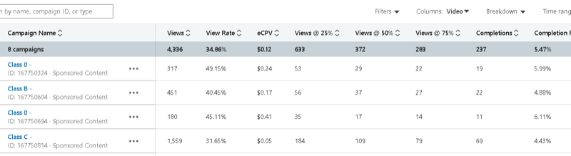 propojený správce kampaní s ukázkovými údaji o kampani včetně zobrazení, míry zhlédnutí, eCPV a zhlédnutí @ 25%, 50%, 75%, dokončení atd.