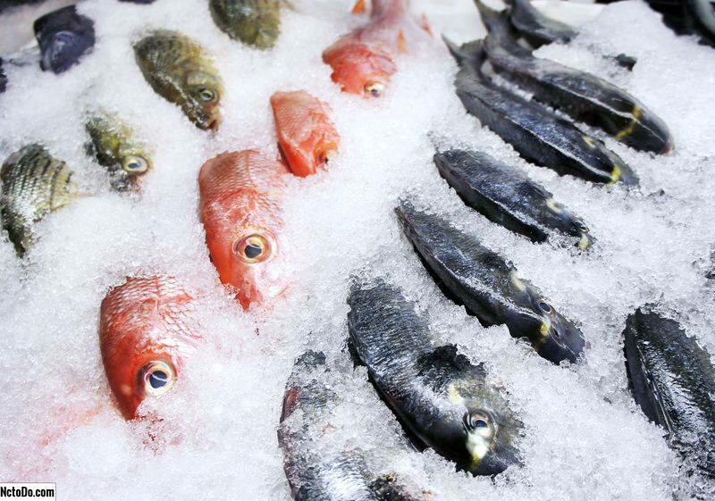 Jak skladovat ryby v mrazáku