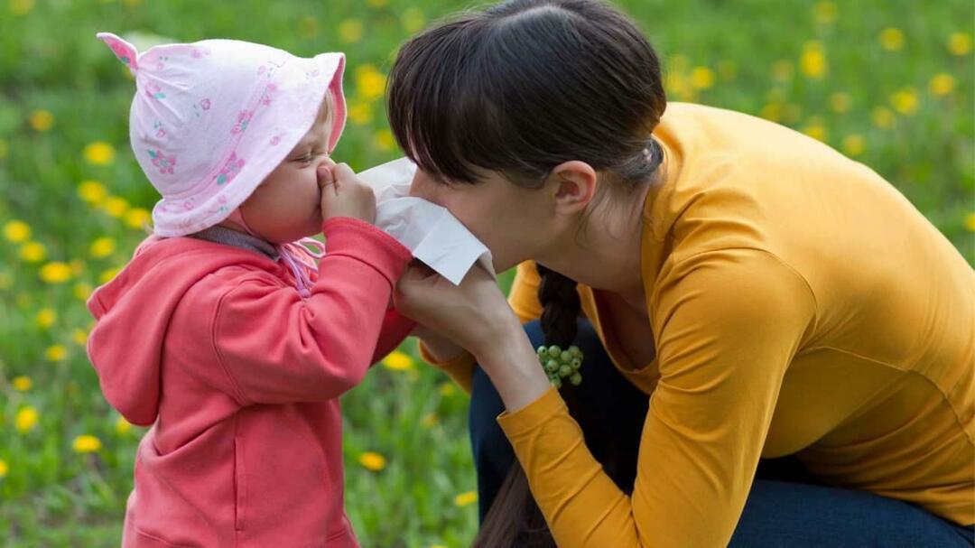Jaký je rozdíl mezi sezónními alergiemi a nachlazením u dětí?